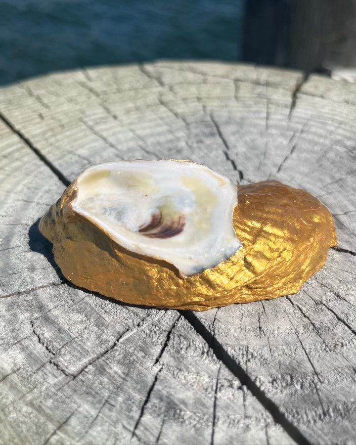 “Shark” Oyster Shell