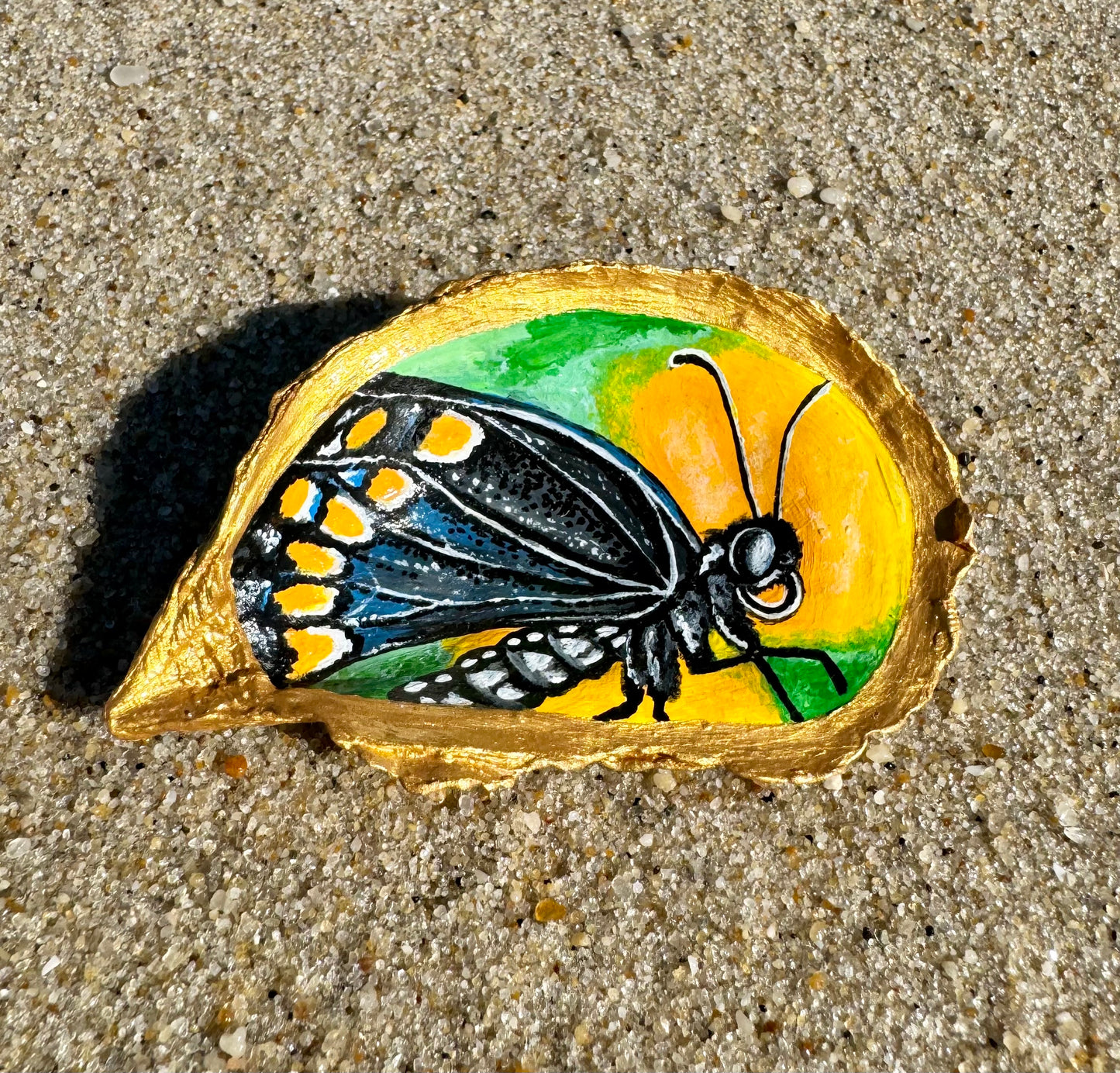 “Black Swallowtail” (New Jersey State Butterfly) Oyster Shell