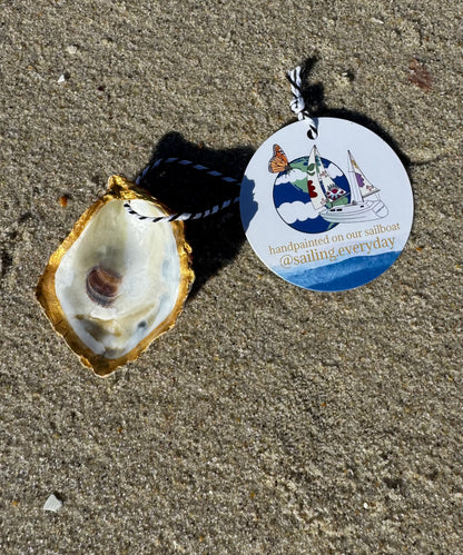 “Frank” Santa Pirate Oyster Ornament