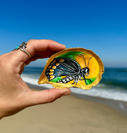 “Black Swallowtail” (New Jersey State Butterfly) Oyster Shell